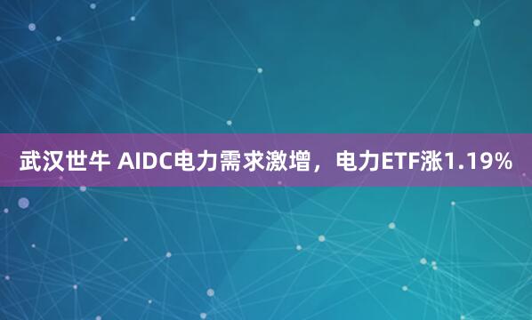 武汉世牛 AIDC电力需求激增，电力ETF涨1.19%