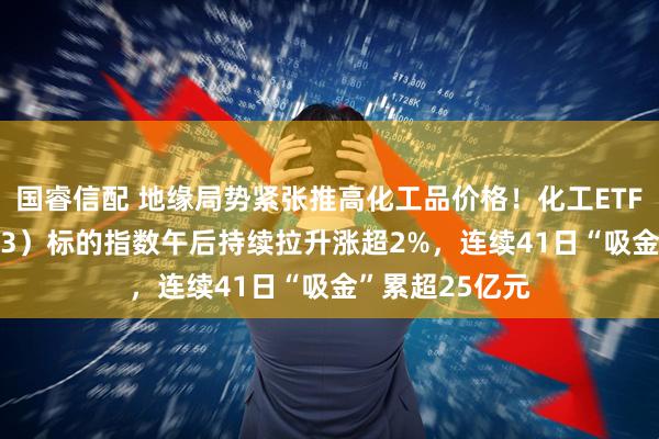 国睿信配 地缘局势紧张推高化工品价格！化工ETF天弘（159133）标的指数午后持续拉升涨超2%，连续41日“吸金”累超25亿元