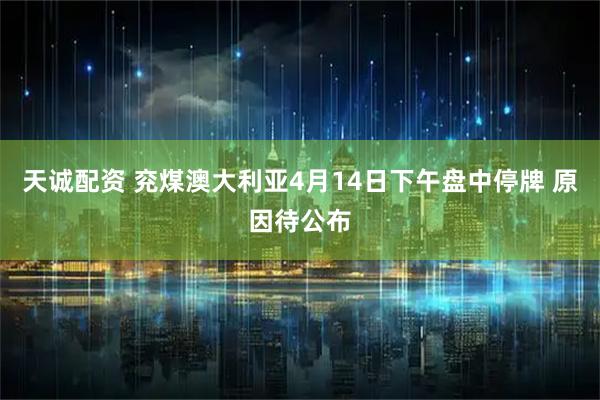 天诚配资 兖煤澳大利亚4月14日下午盘中停牌 原因待公布
