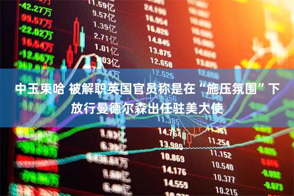 中玉束哈 被解职英国官员称是在“施压氛围”下放行曼德尔森出任驻美大使