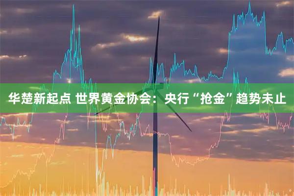 华楚新起点 世界黄金协会：央行“抢金”趋势未止