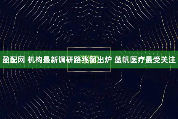 盈配网 机构最新调研路线图出炉 蓝帆医疗最受关注