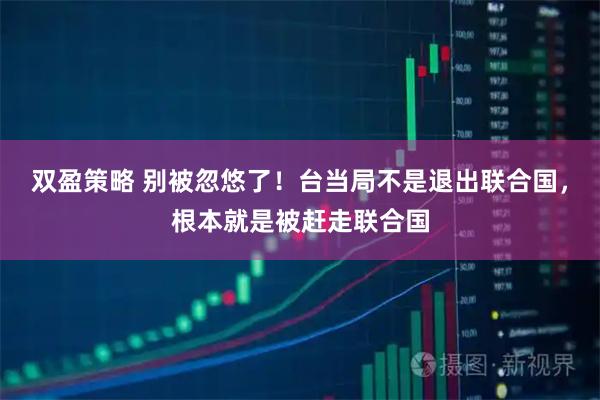 双盈策略 别被忽悠了！台当局不是退出联合国，根本就是被赶走联合国