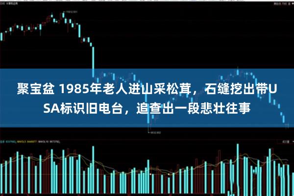 聚宝盆 1985年老人进山采松茸，石缝挖出带USA标识旧电台，追查出一段悲壮往事