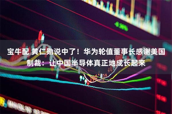 宝牛配 黄仁勋说中了！华为轮值董事长感谢美国制裁：让中国半导体真正地成长起来