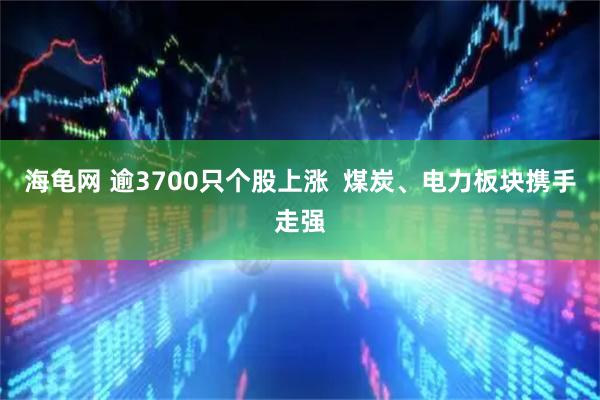 海龟网 逾3700只个股上涨  煤炭、电力板块携手走强
