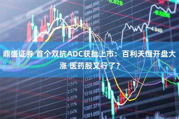 鼎盛证券 首个双抗ADC获批上市：百利天恒开盘大涨 医药股又行了？
