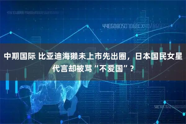 中期国际 比亚迪海獭未上市先出圈，日本国民女星代言却被骂“不爱国”？