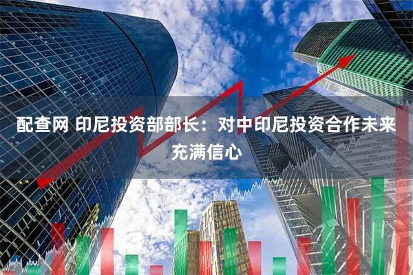 配查网 印尼投资部部长：对中印尼投资合作未来充满信心