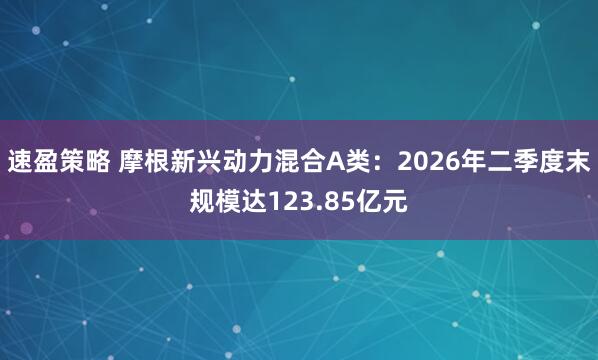 速盈策略 摩根新兴动力混合A类：2026年二季度末规模达123.85亿元