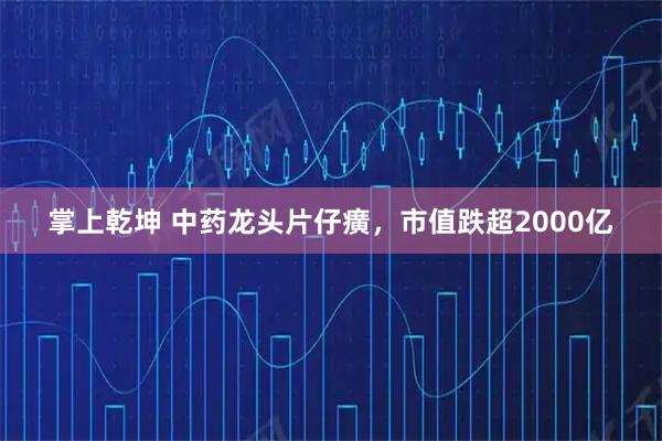 掌上乾坤 中药龙头片仔癀，市值跌超2000亿
